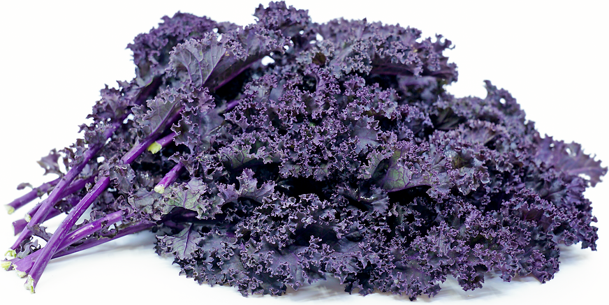 Redbor Kale Information and Facts