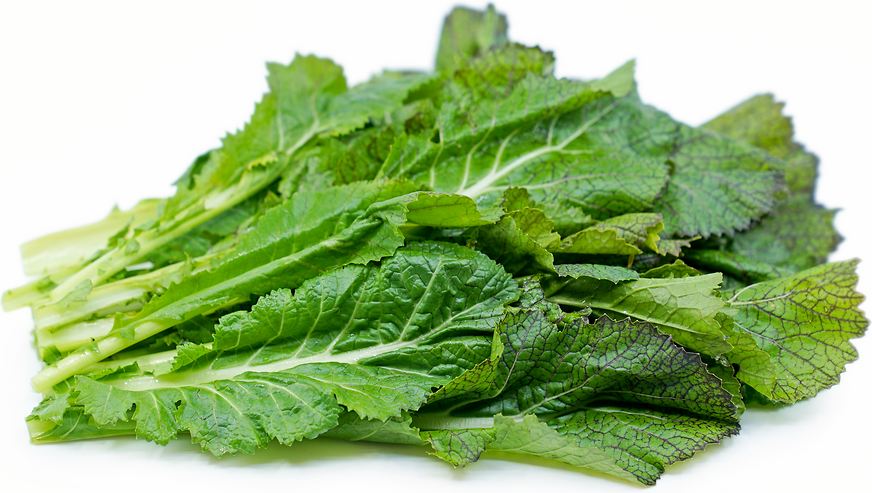 mustard-greens-information-recipes-and-facts