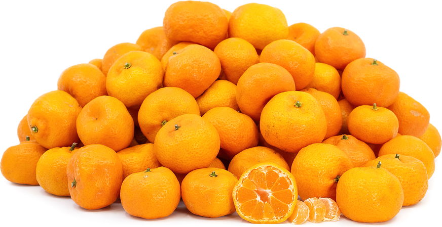 Kishu Tangerines picture