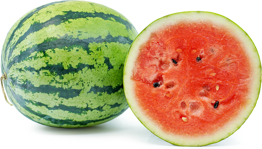 gyde Rytmisk adelig Watermelon Information and Facts
