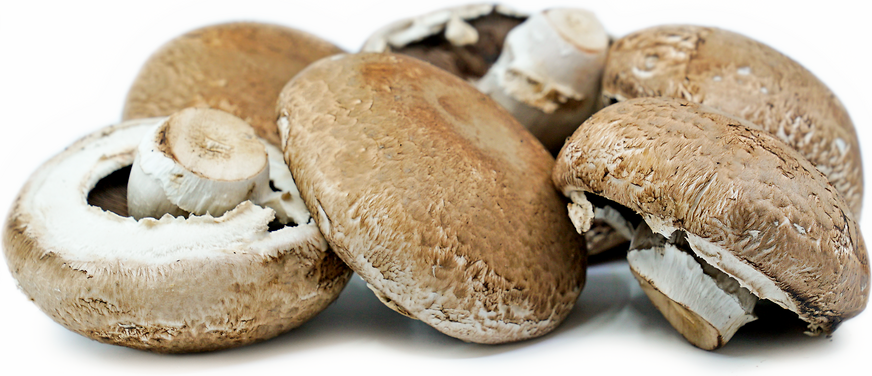 Chinese mushrooms, Enoki,Hon-shimeji and Shitake isolated on a