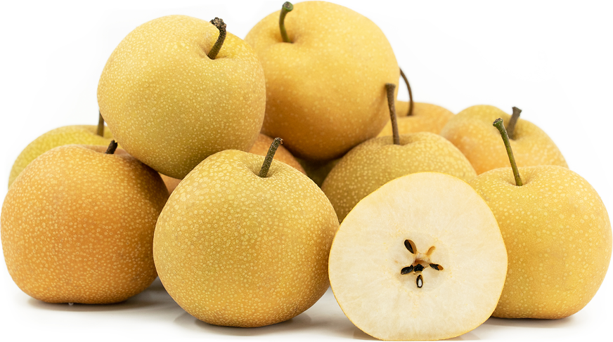 types of asian pears