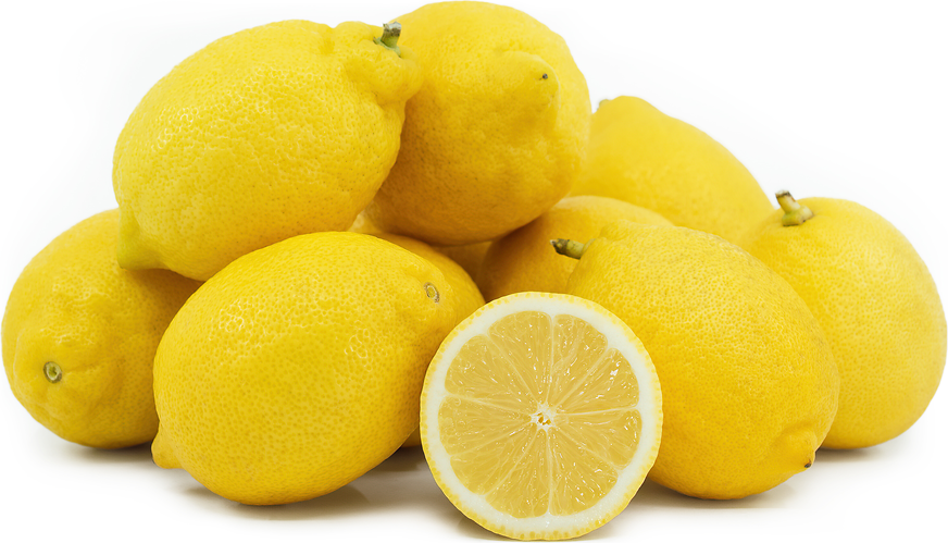 Lunar lemon, Ornamental citrus plants