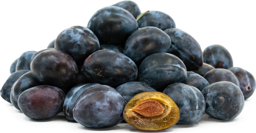 Italian Prune Plums Information and Facts
