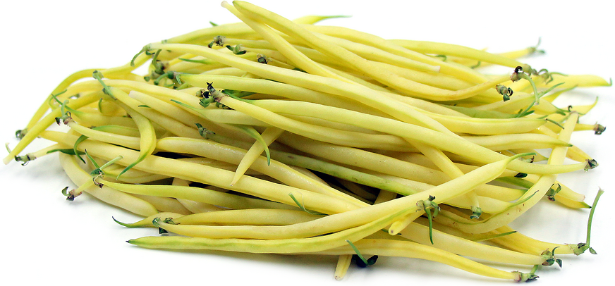 Yellow Baby French Beans Information and Facts