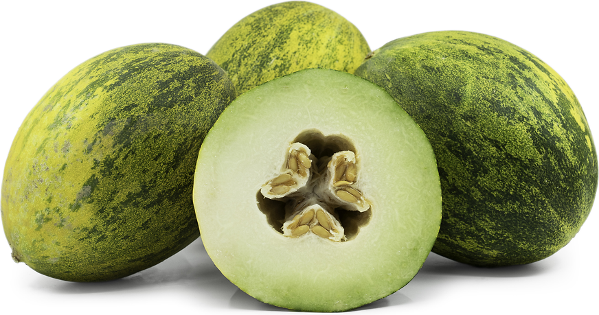 Melon d'espagne Pele de Sapo