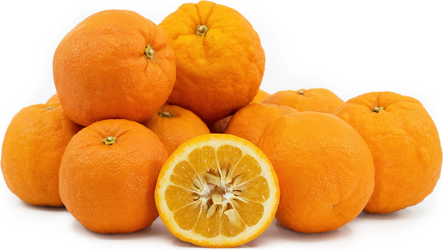 Fruit of the Week! The Sumo Orange - The Art of Doing Stuff