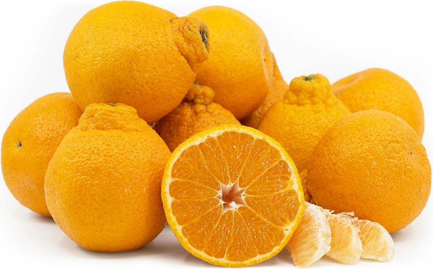 SUMO CITRUS® Information and Facts - Specialty Produce