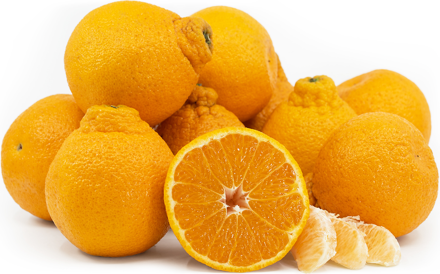 Sumo Citrus® Information and Facts