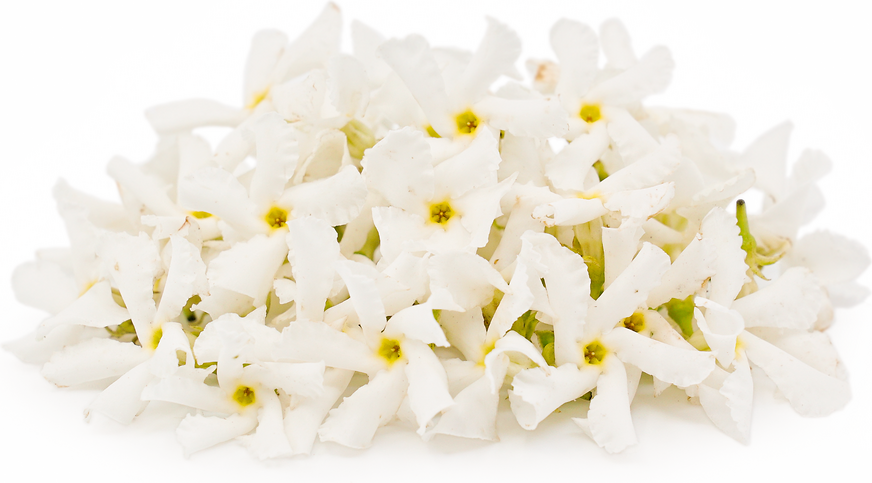 Jasmine MicroFlowers™ Information and Facts