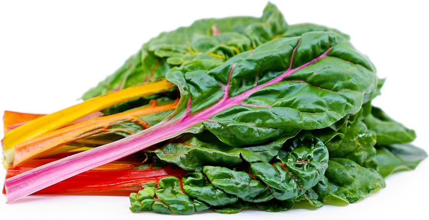 Chard - Red Rhubarb - Bali Chard (Beta vulgaris subsp. vulgaris