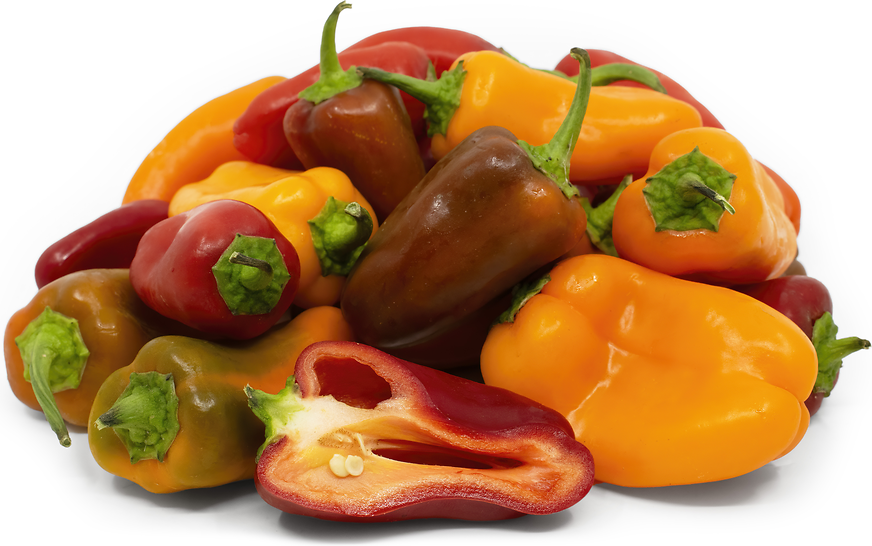 Gurney's Sweet Pepper Yum Yums Hybrid Mixed Mini Bells Seed (15-Pack)