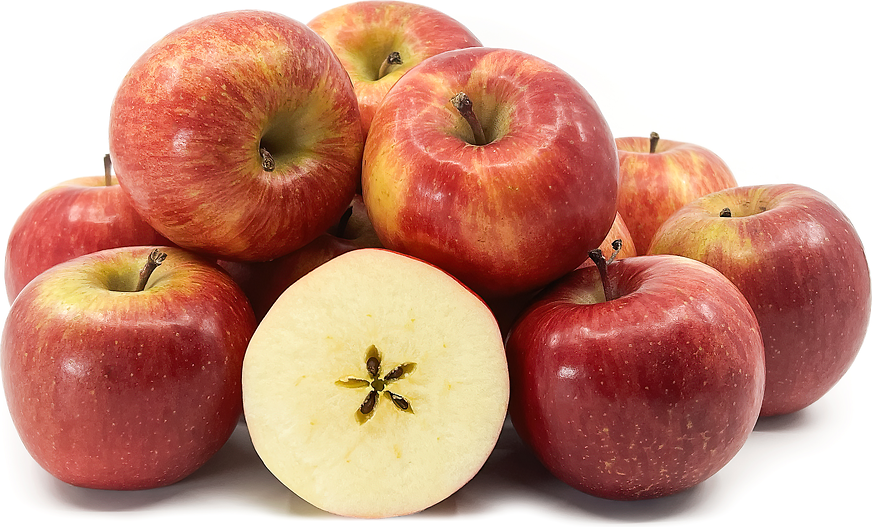 China Fresh Fuji Apples Manufacturers Suppliers Factory