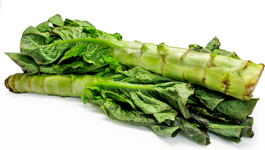 Asparagus Lettuce 50+ seeds Organic Heirloom Chinese Stem Lettuce 莴笋 Celtuce Seeds