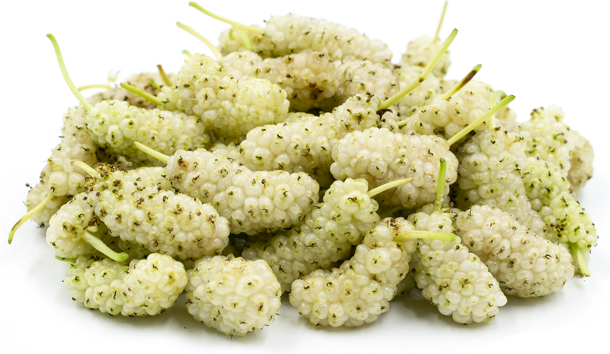 White Mulberries Information and Facts