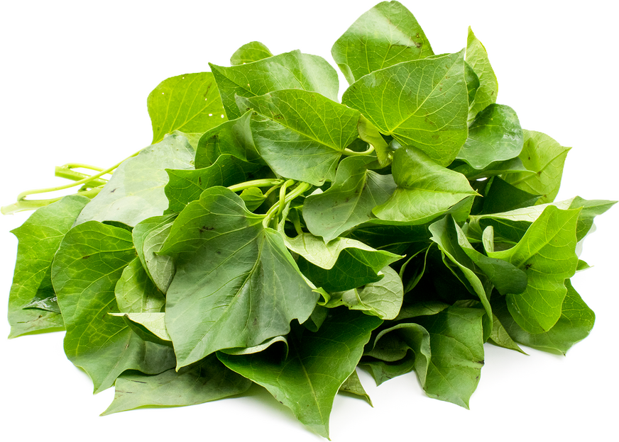 Yam Leaves Information And Facts