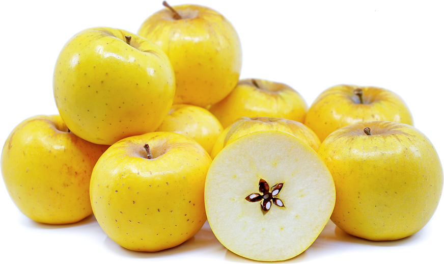 Opal Apples - The Yellow Apple with a Crispy Bite