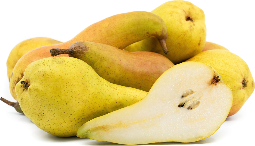 Abate Fetel Pears Information and Facts