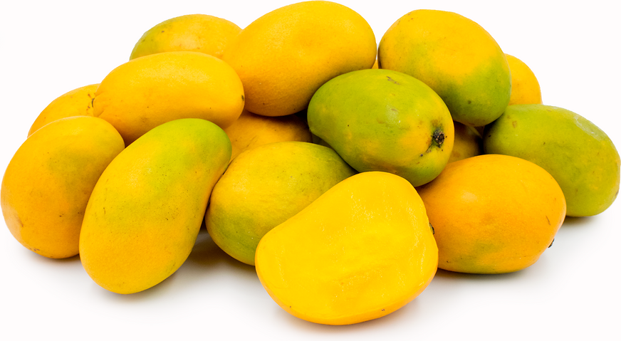 yellow mango fruit tree