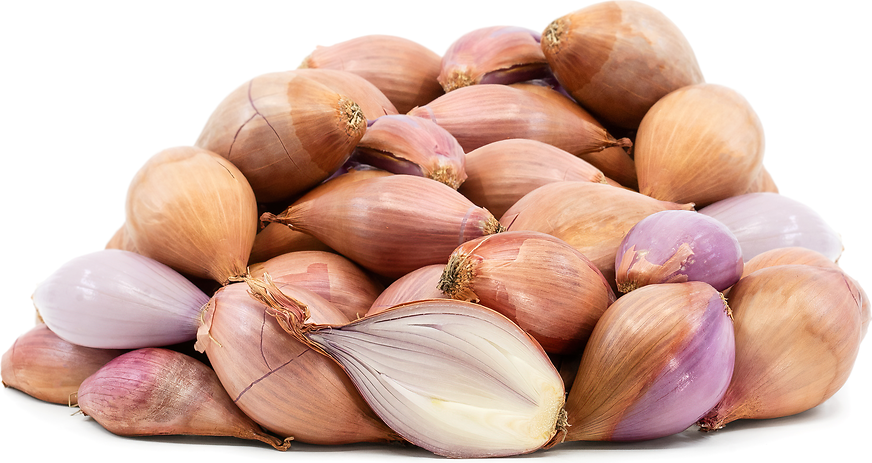 Shallot Confit - Waves in the Kitchen