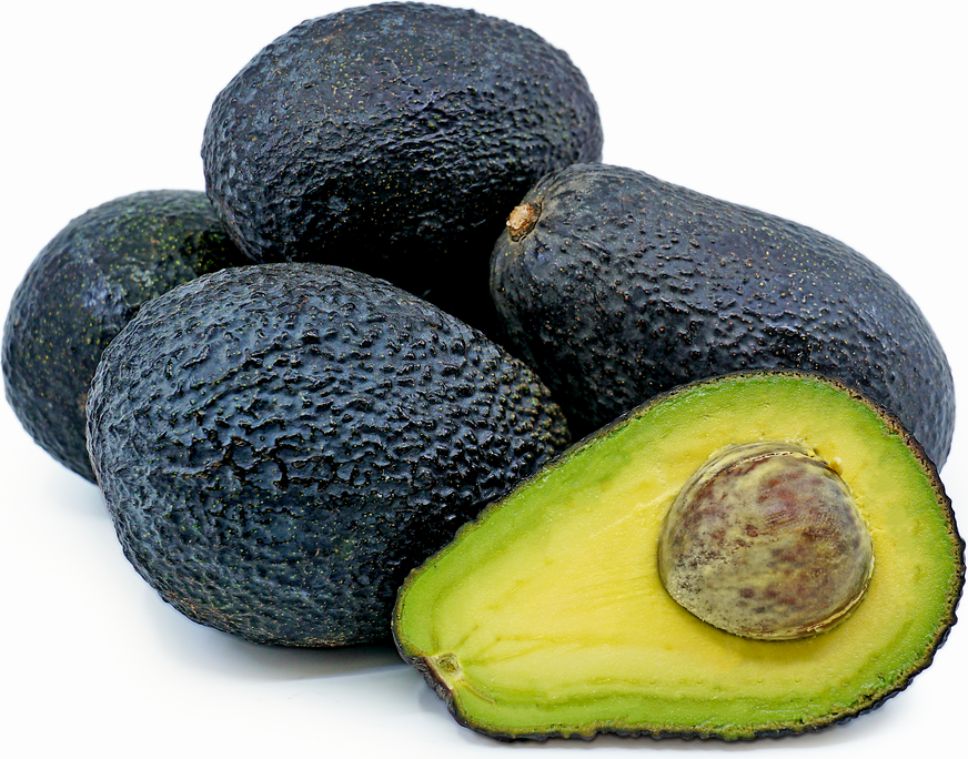 Lambs Hass Avocados Information and Facts