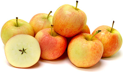 Bi-coloured Apple, Royal Gala Golden Bay Fruit Orchards, NZ