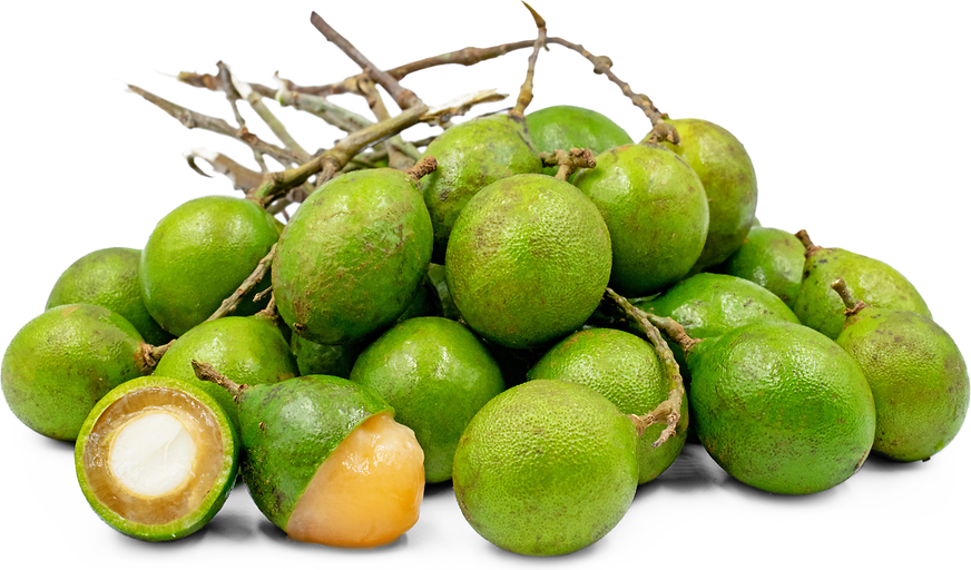 Fruit Aroma, Flavors For Slime in Sri Lanka
