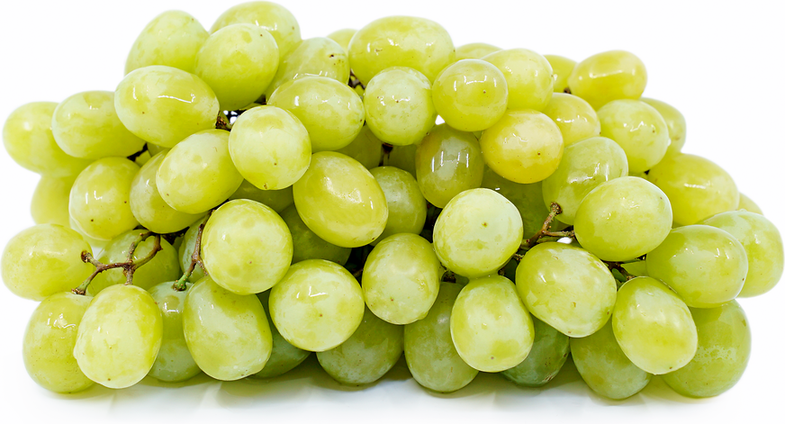organic cotton candy grapes grapery 800 g delivery cornershop by uber - canada on where to buy cotton candy grapes canada