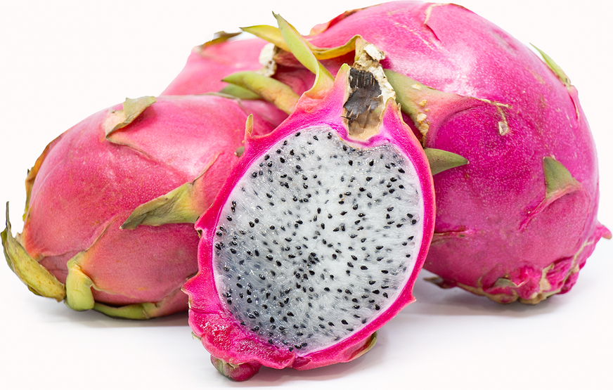 Dragon Fruit Information And Facts 0219