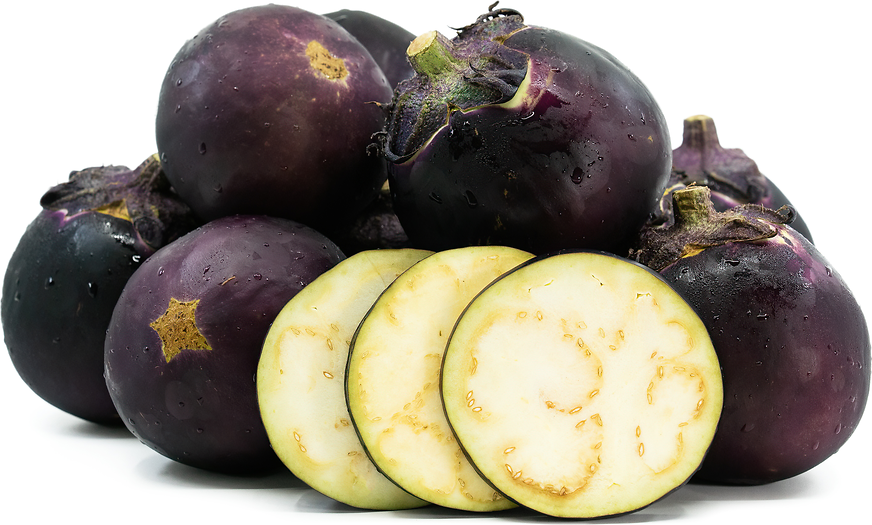 Millionaire Hybrid Eggplant, Eggplant: Vermont Bean