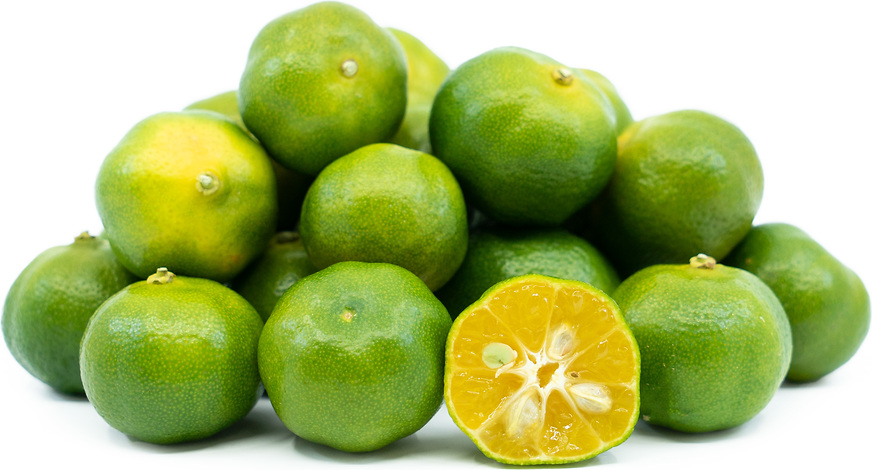 Limes rondes de KOX