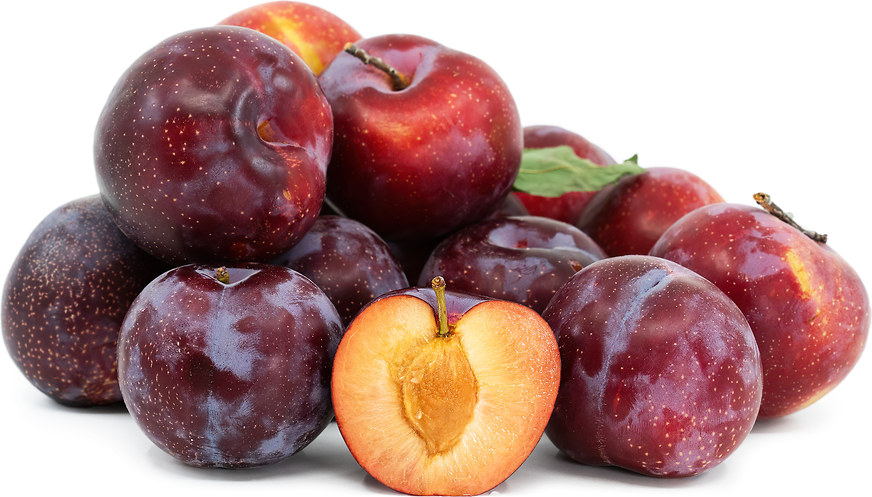 Santa Rosa Plums Information, Recipes and Facts