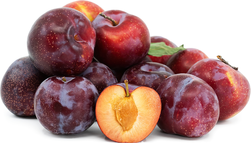 Artificial Plum Fruit Black Burgundy