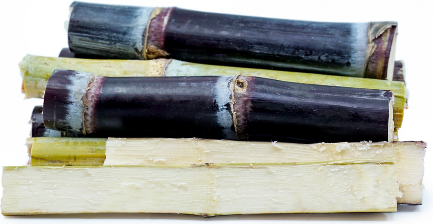 Sugarcane Plants Organic 5 sticks Sugar Cane  Red/Purple/Black 2 Eyes Not SEEDS 