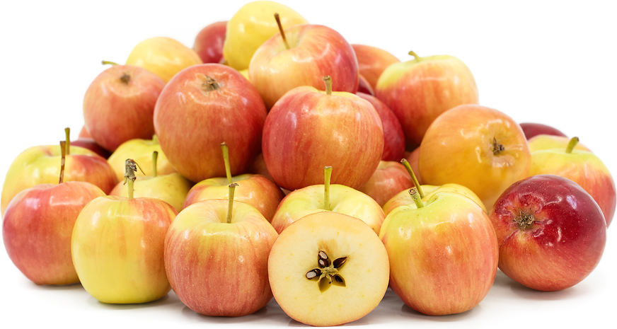 Crimson Gold Apples Information, Recipes and Facts