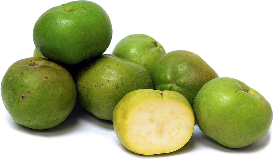 Sapote Information, Recipes and Facts