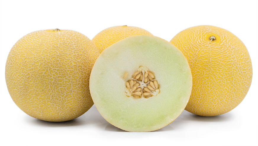 Galia Melon Information, Recipes and Facts