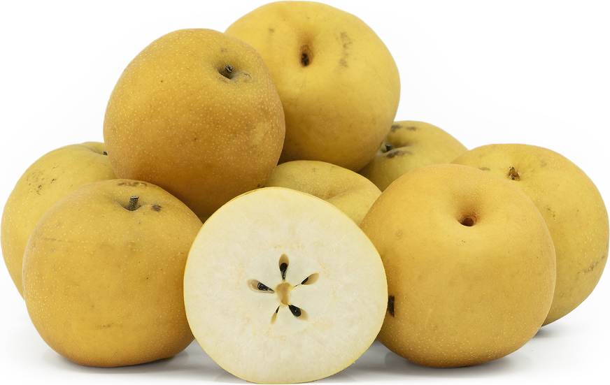 Shinko Asian Pears picture