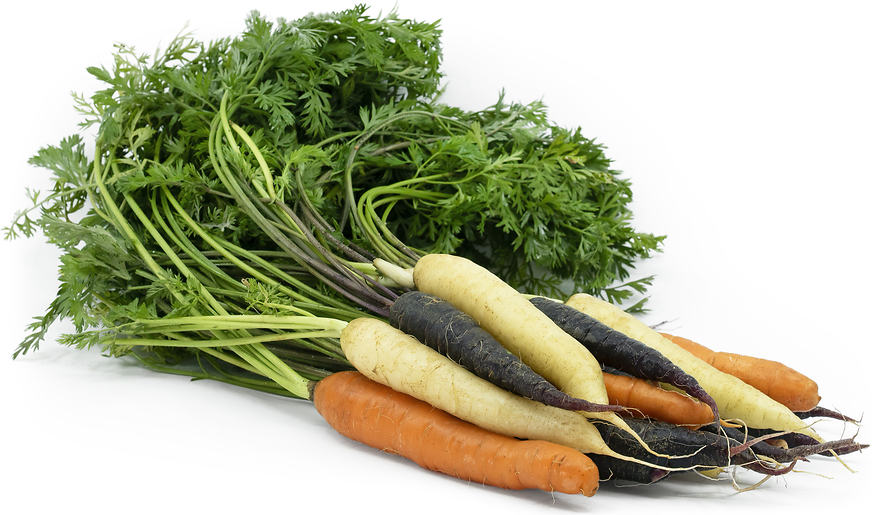 Baby Rainbow Carrots picture