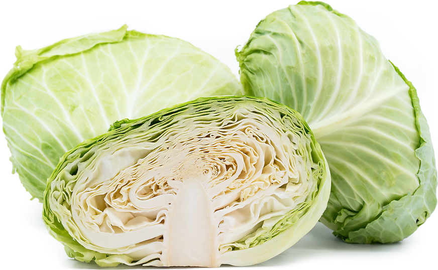 Taiwanese Flat Cabbage Information, Recipes and Facts