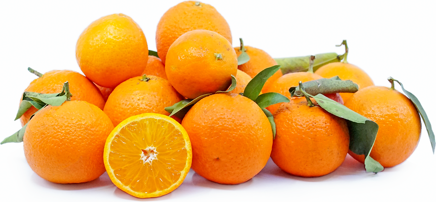 Page Tangerines picture