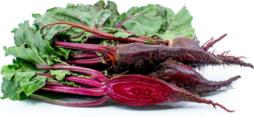 Cylindra Beets picture