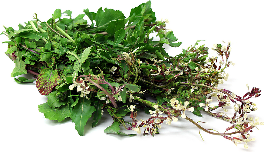 Arugula Blossoms picture