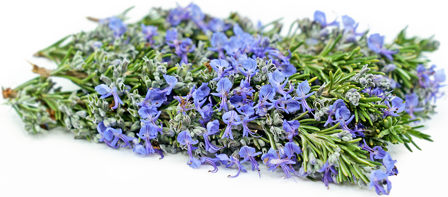 Rosemary Blossoms picture