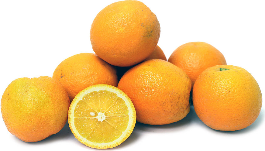 Lima Oranges picture