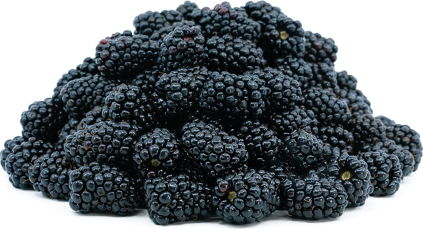 blackberry fruit