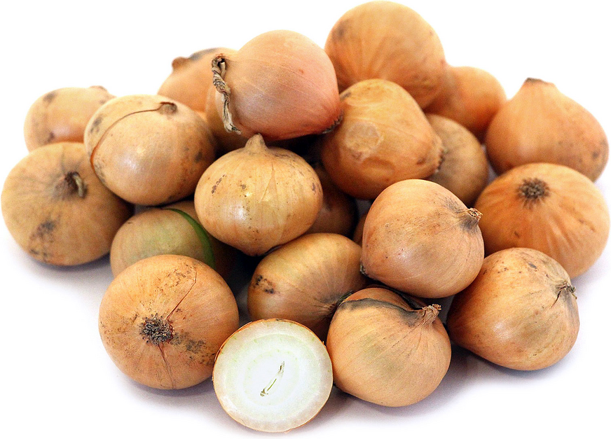 Petite Onions picture