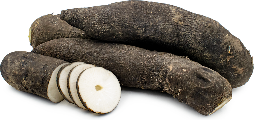 Long Black Spanish Radishes picture