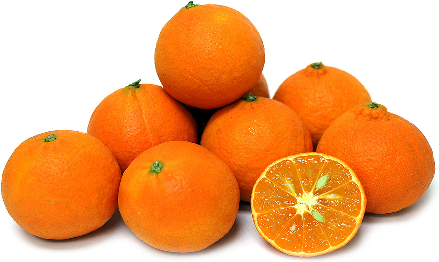 Clementine Tangerines picture