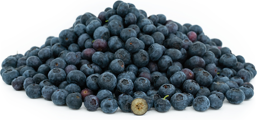 Blueberries Information and Facts